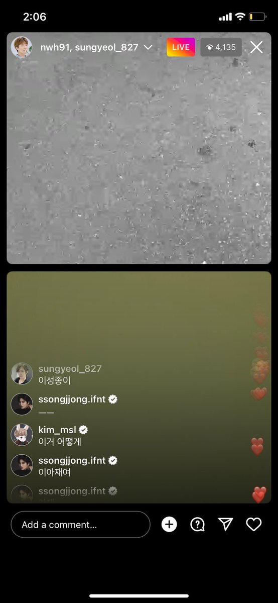 babygyu's tweet photo. Omg they’re alive 🥲 https://t.co/94IaBiZbsK