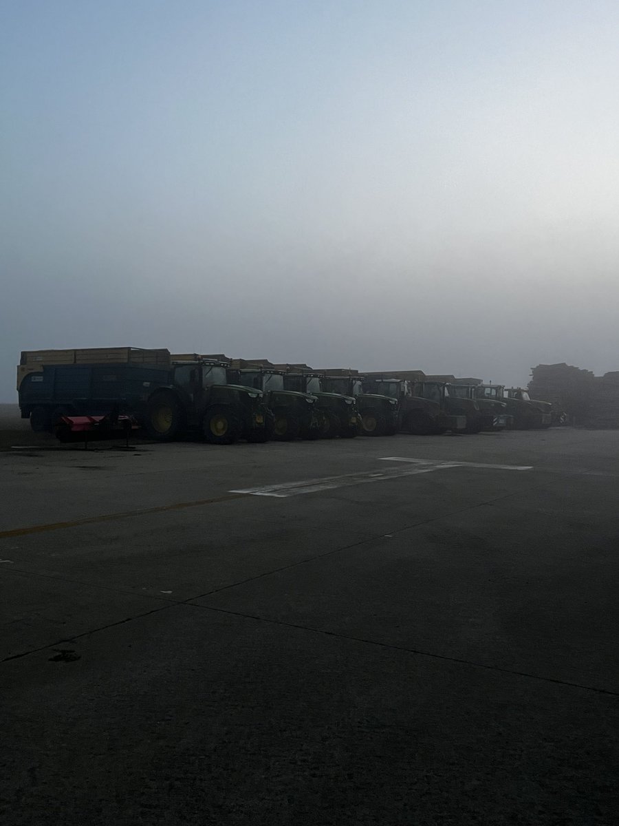 Calm before the storm