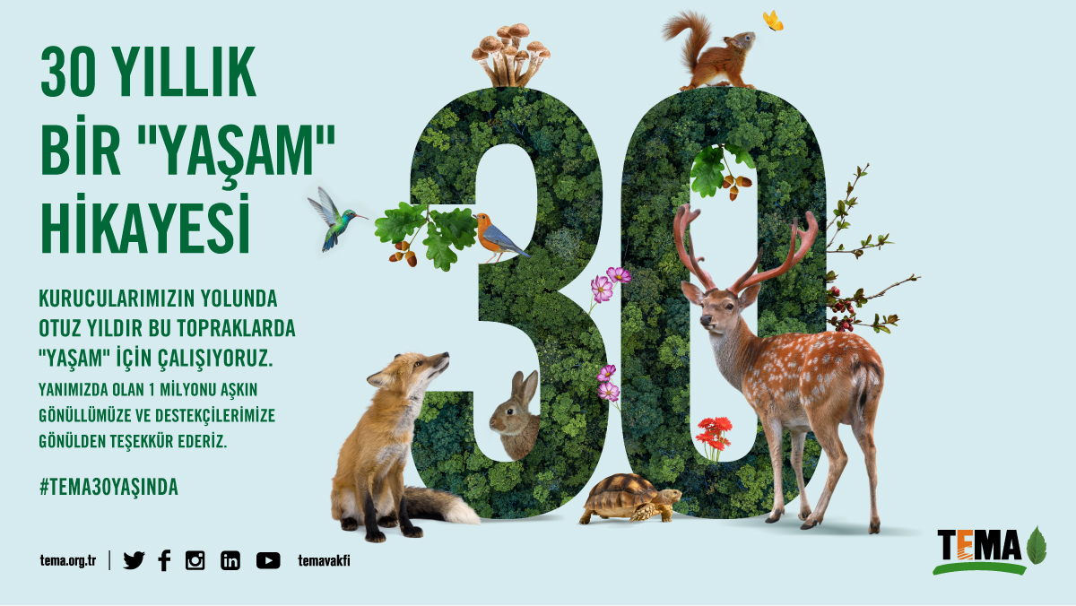 30 Yıllık Bir Yaşam Hikayesi 💚

🌳 11 Eylül 1992’den bugüne, kurucularımızın yolunda 30 yıldır bu topraklarda yaşam için çalışıyoruz.
🌳 Yanımızda olan 1.000.000’u aşkın gönüllümüze ve destekçilerimize gönülden teşekkür ederiz! 

#TEMA30YAŞINDA