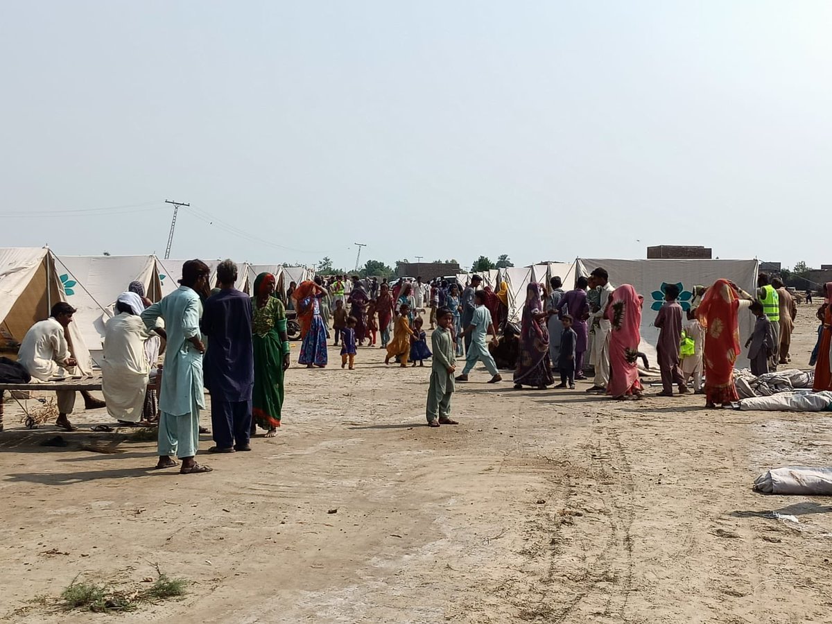 AliZafarsays's tweet photo. Our team has reached one of the most affected areas in interior Sindh. What they tell me is heart-wrenching. Scorching heat with no roof or clean water besides countless other issues. We’ve started setting up the tents but so much more needs to be done. #PakistanFloods2022 https://t.co/y0rQjhL008