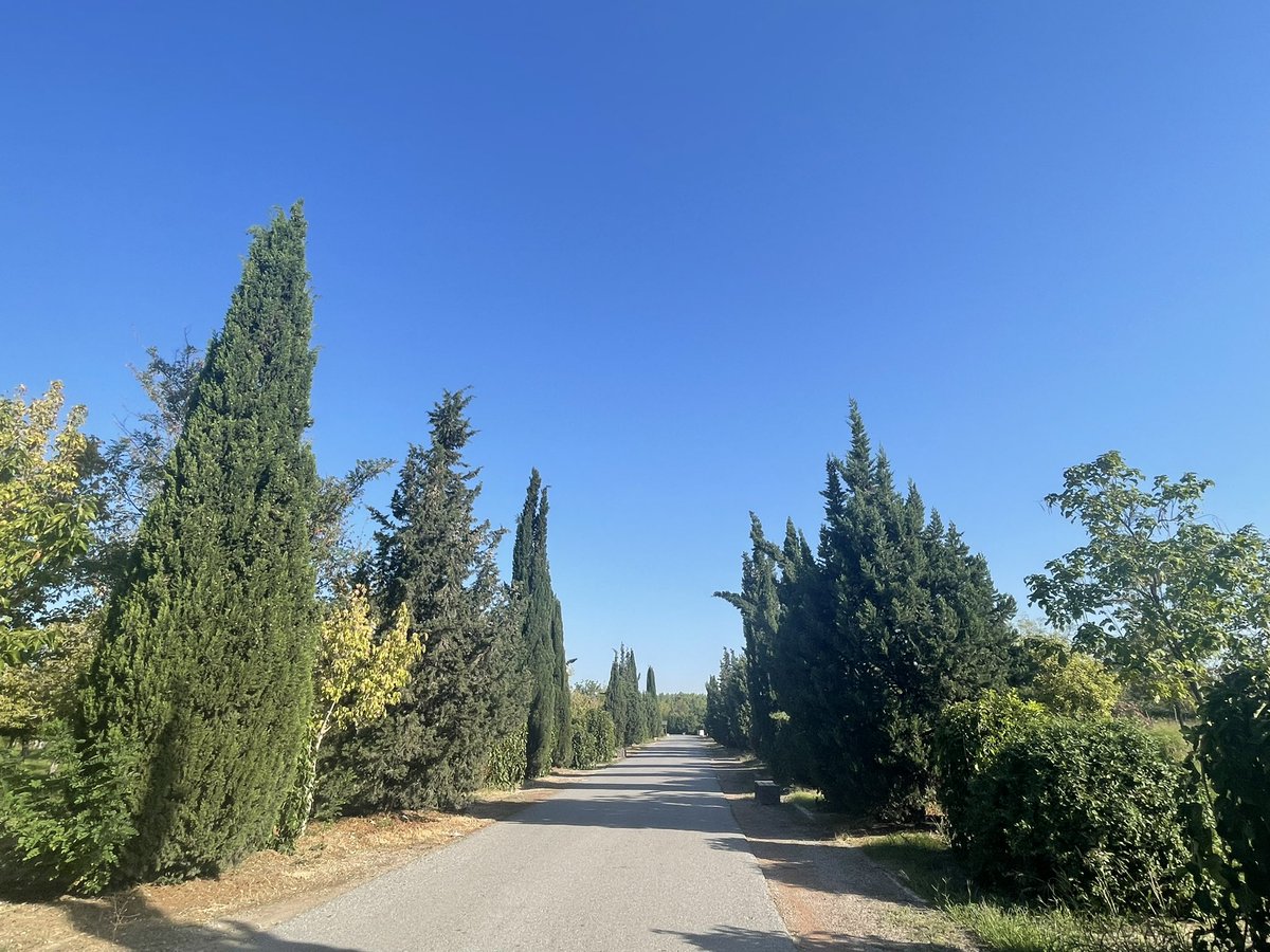 Kötü görüntüleri paylaşmak istemedim #izmir e yakışmaz! #izmirkentormanı ne hale gelmiş🥲 yıllardır gelirim hiç bu kadar bakımsız ve kuralsız kullanım görmemiştim <a href="/izmirbld/">İzmir Büyükşehir Belediyesi</a> lütfen şehrin yeşil alanına sahip çıkalım🙏🏻 <a href="/izmirgibiyiz/">izmirgibiyiz 🇹🇷</a> <a href="/tuncsoyer/">Tunç Soyer</a>