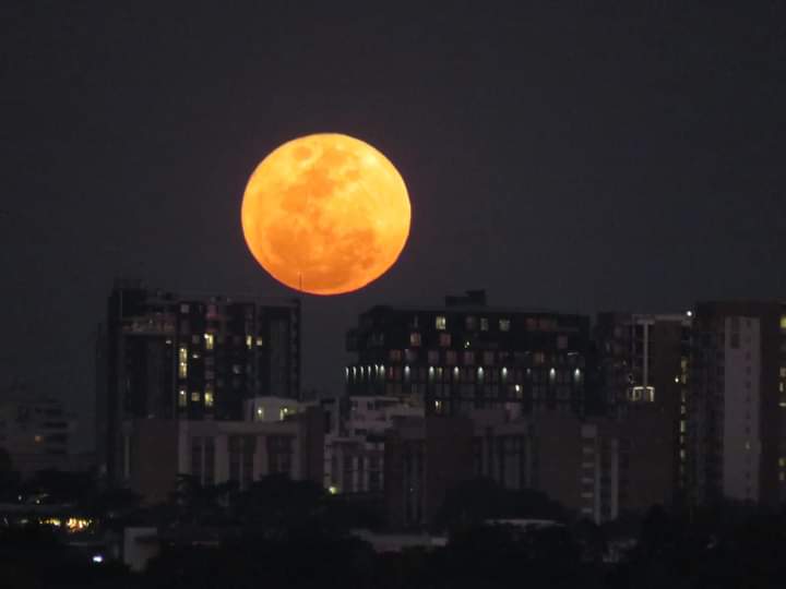 Ijoba ๐ต ๐ต๐ฐ on Twitter "RT steffy_sa ๐ Full moon in Johannesburg last Ijoba ๐ต ๐ต๐ฐ on Twitter "RT steffy_sa ๐ Full moon in Johannesburg last