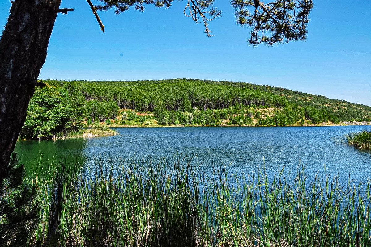 🏞📍Araç Tuzaklı Göleti 
<a href="/ARACKAYMAKAM37/">ARAÇ KAYMAKAMLIĞI</a>
#Kastamonu
#fotozamani
#turkobjektif
#manzara
#kadrajturkiye