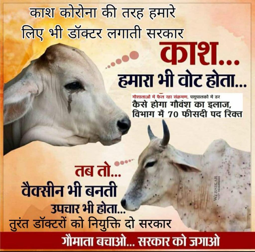 TheUpenYadav's tweet photo. कंप्यूटरअनुदेशक भर्ती में चयनित अभ्यर्थियों के दस्तावेज सत्यापन का शेड्यूल जल्द जारी करवाएंगे
चयनित अभ्यर्थियों की जोइनिंग में किसी प्रकार की बाधा नहीं आने दूंगा
#शिथिलता के लिए भी हमसब मिलकर लड़ाई लड़ेंगे
#कंप्यूटर_अनुदेशक_DV_तिथि_जारी_करो
#नये_obc_ews_certificate_को_मान्यता_दो https://t.co/qI9sqazobs