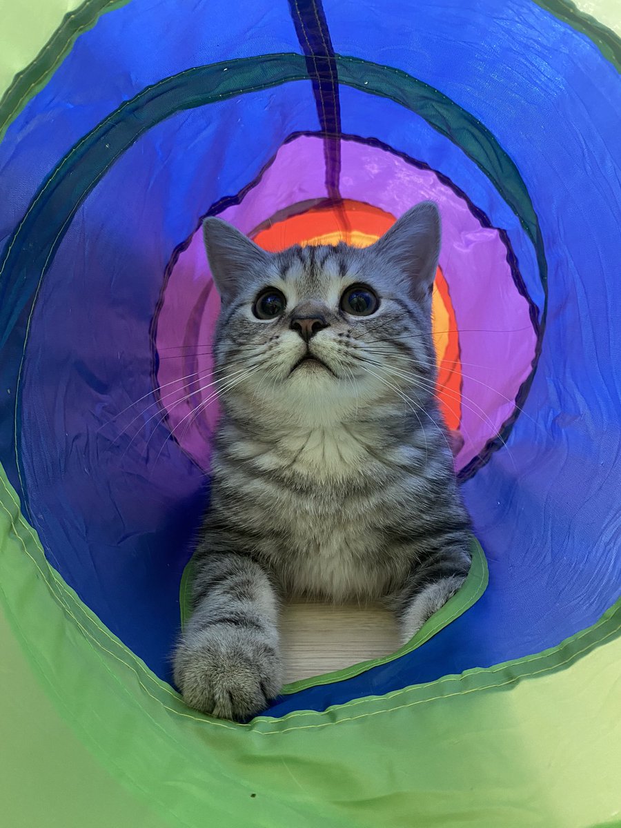 KeamPim's tweet photo. ชอบมากเล่นเสียงดังทั้งคืนเลยกี้😂 https://t.co/18Dr3h0Xty