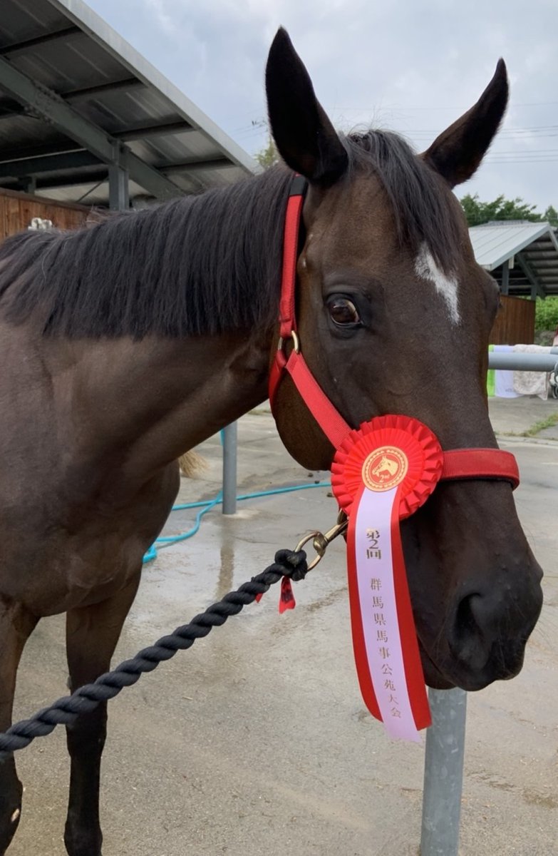 テイオー孫ベギーアデ
９番人気で３着❣

11月は４走しました🏇
母娘共に頑張り屋です👏 
