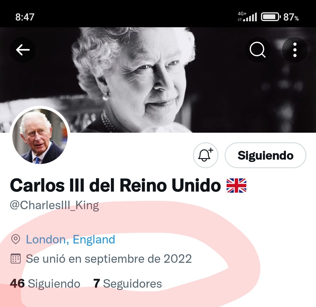 AliSlower tweet media