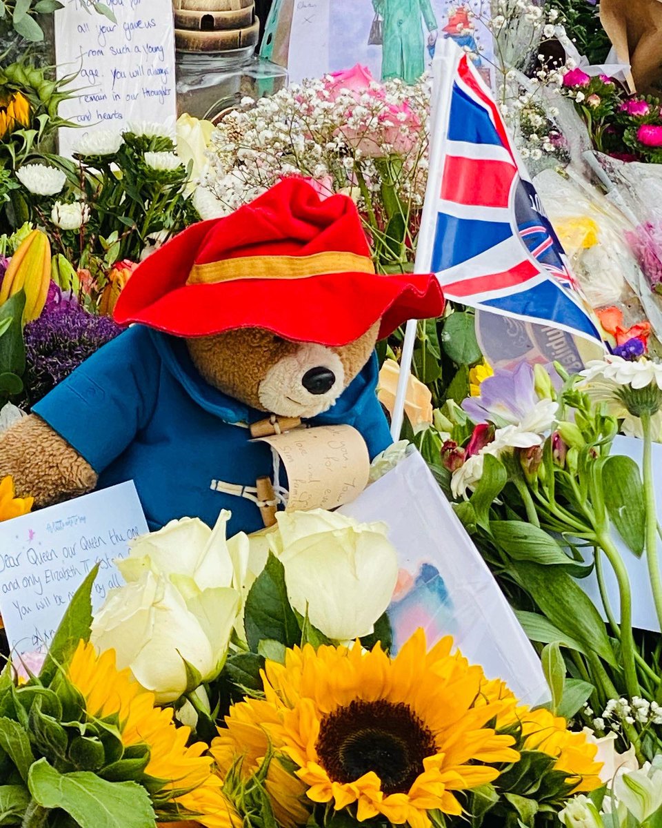 Mandy Vanstone tweet media