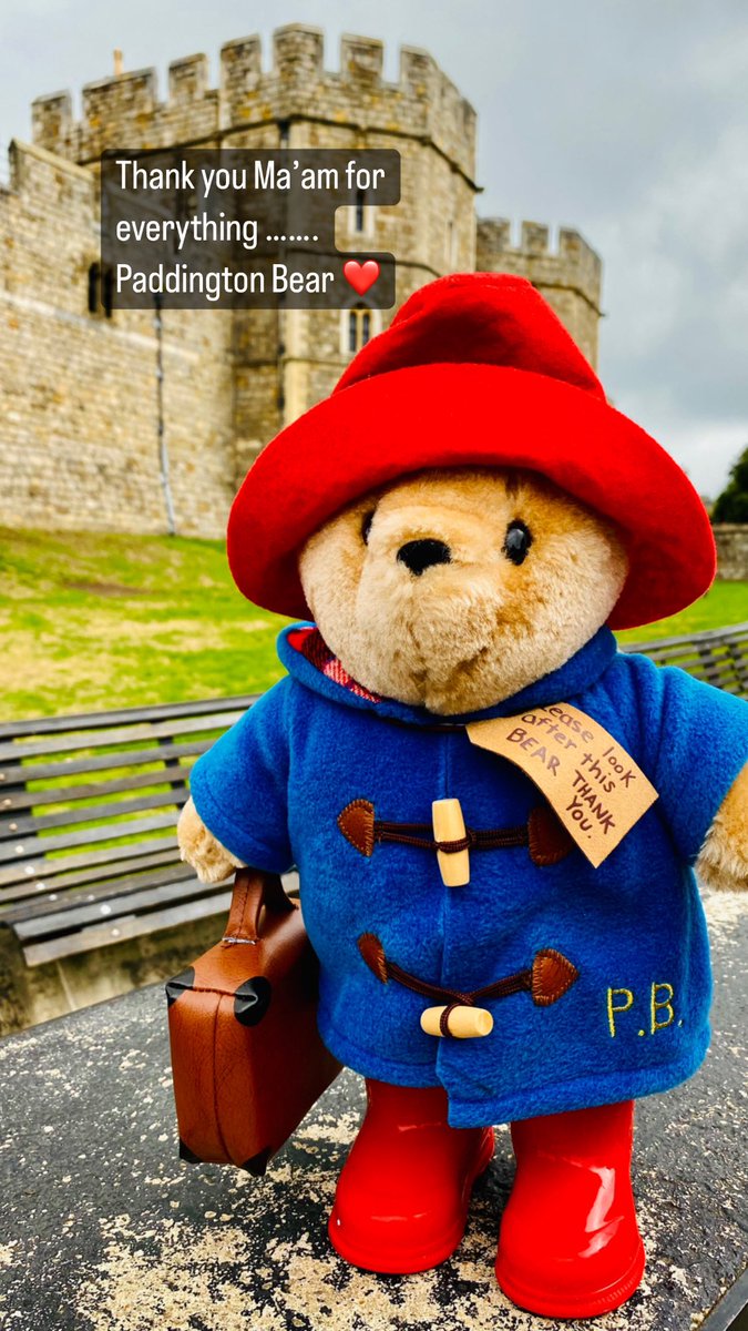 Mandy Vanstone tweet media