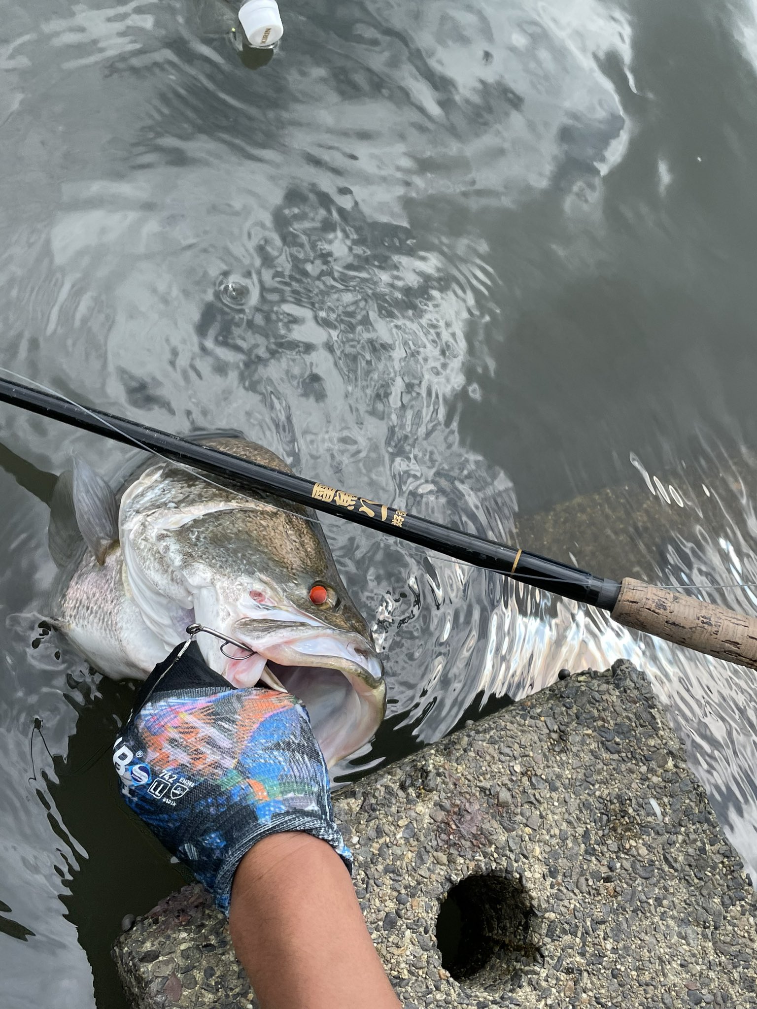 聖剣アカメ頂きました T Co Qmghad3fv2 Twitter