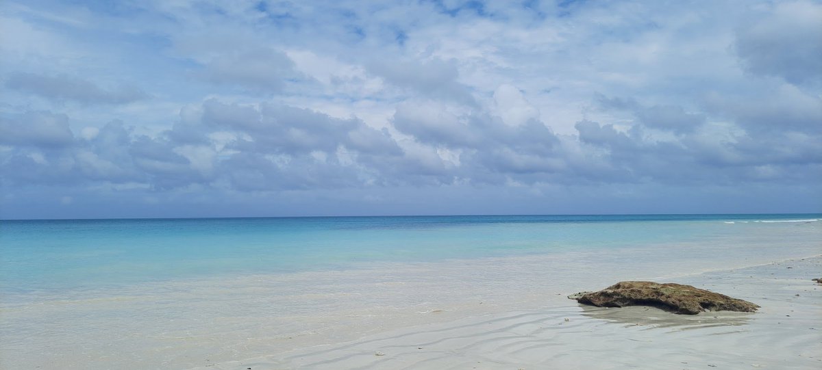 Ramanean's tweet photo. Andaman is one of the beautiful places in India which has some breathtaking whitesand beaches along with lush green tropical rain forests! #Andaman #SwarajDeep #Havelock #RadhaNagarBeach #KalaPatharBeach (1/3) https://t.co/2q92twhHt6