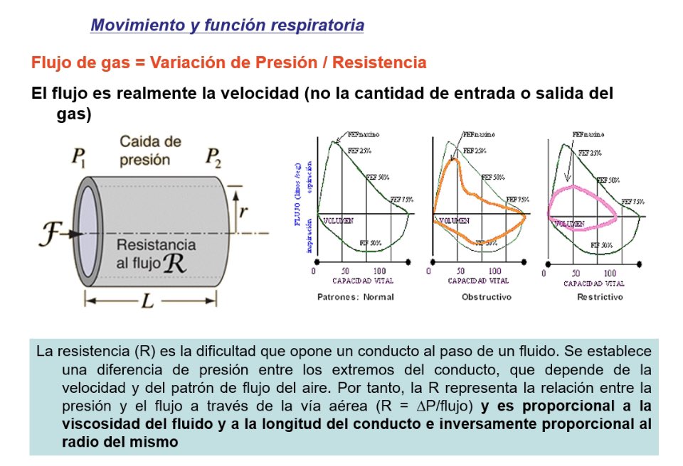 Fede Gordo-Vidal tweet media