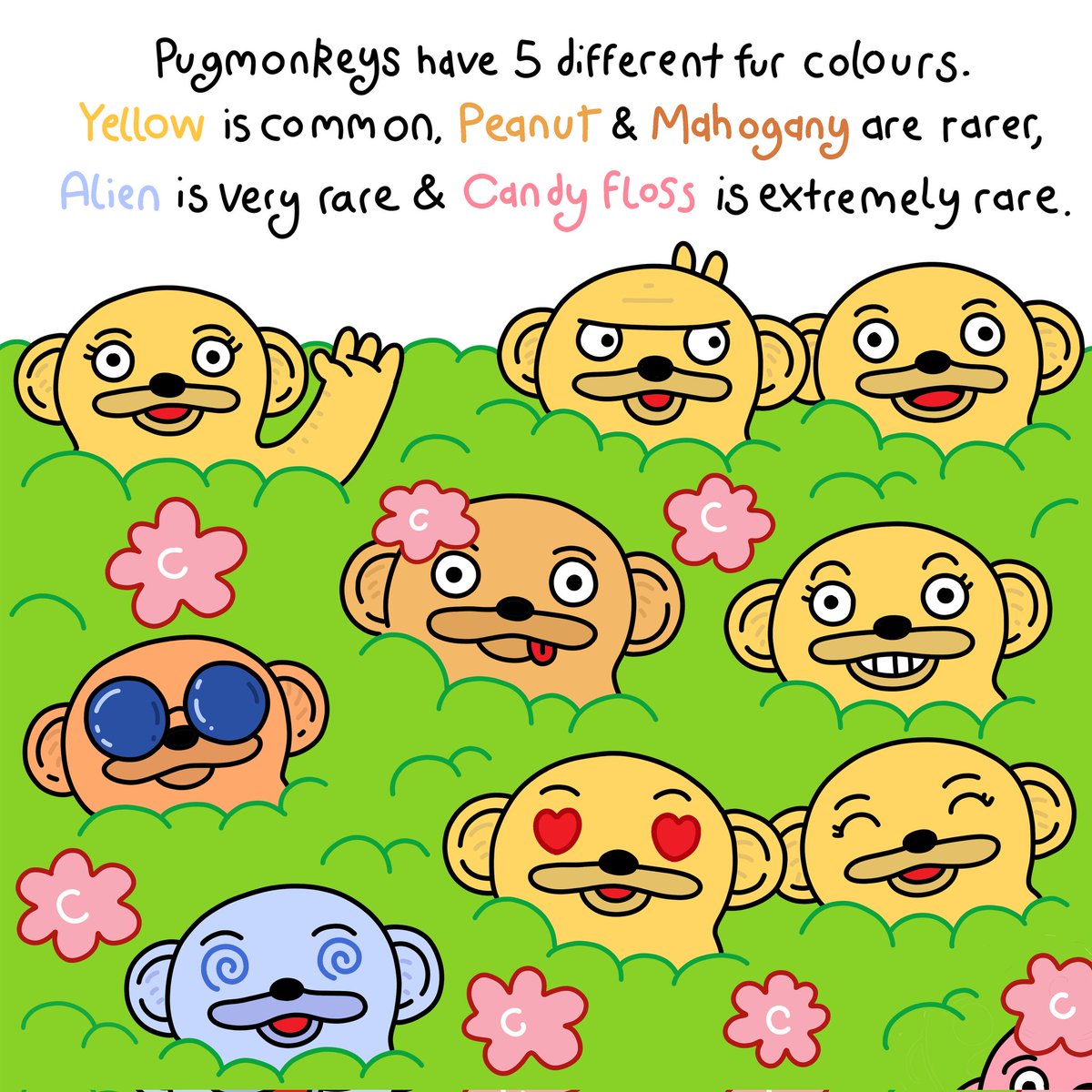Pugmonkeys🌸 tweet media