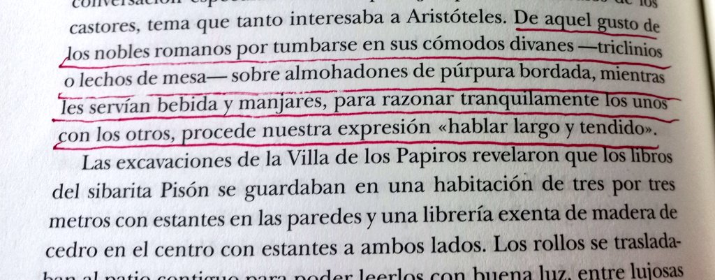 Largo y tendido
Irene Vallejo, El infinito en un junco 💗