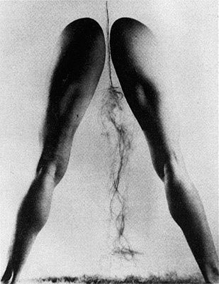 Dora Maar's legs  | Man Ray | 1936
