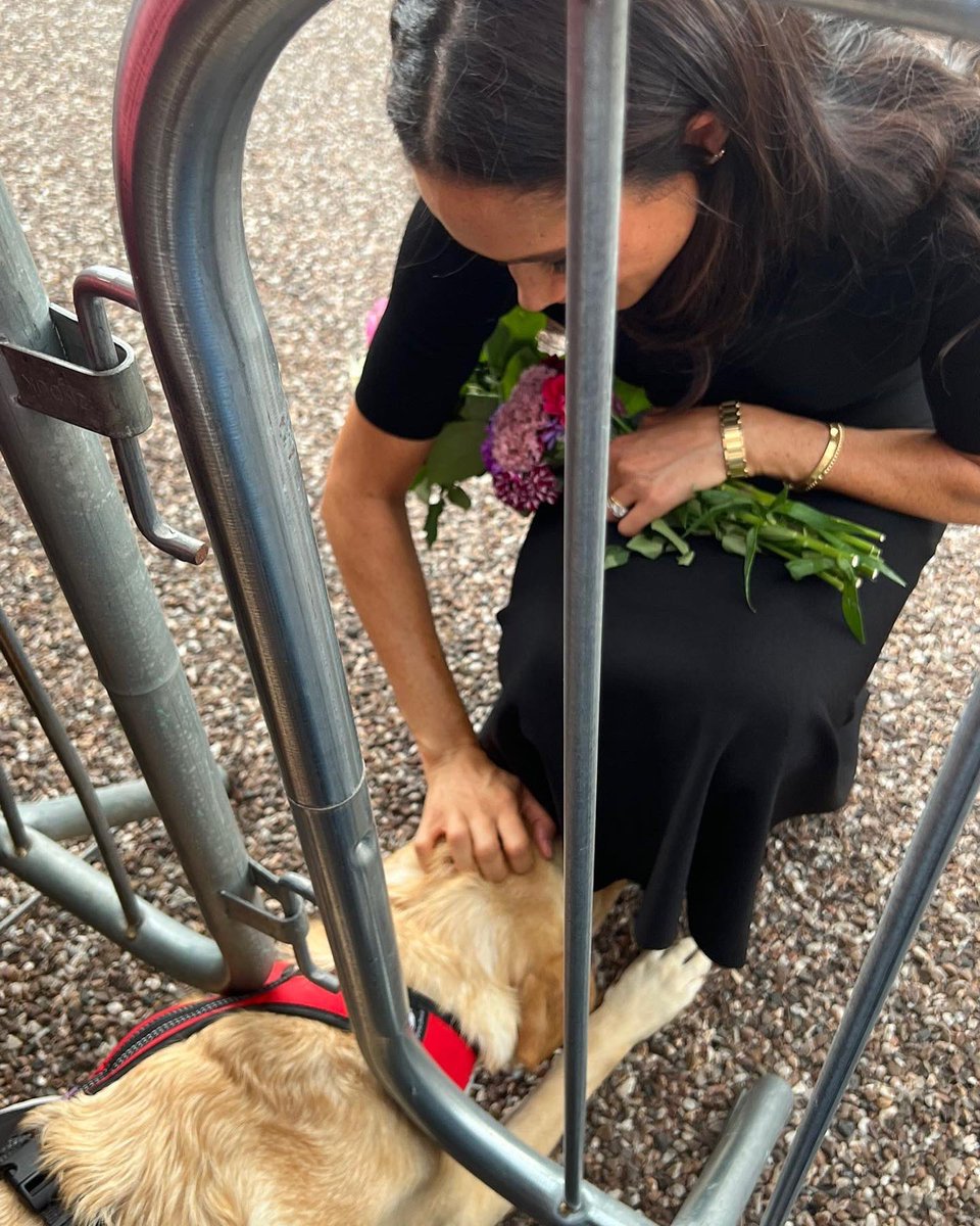 Anne Duchess Of Success on Twitter "Beautiful moments like this are