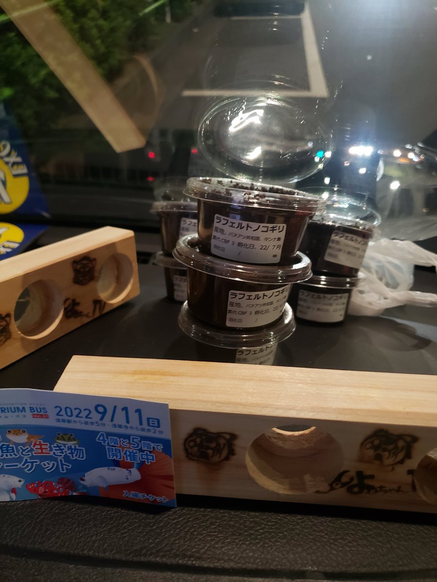 レイちゃんファミリー レイちゃんファミリー