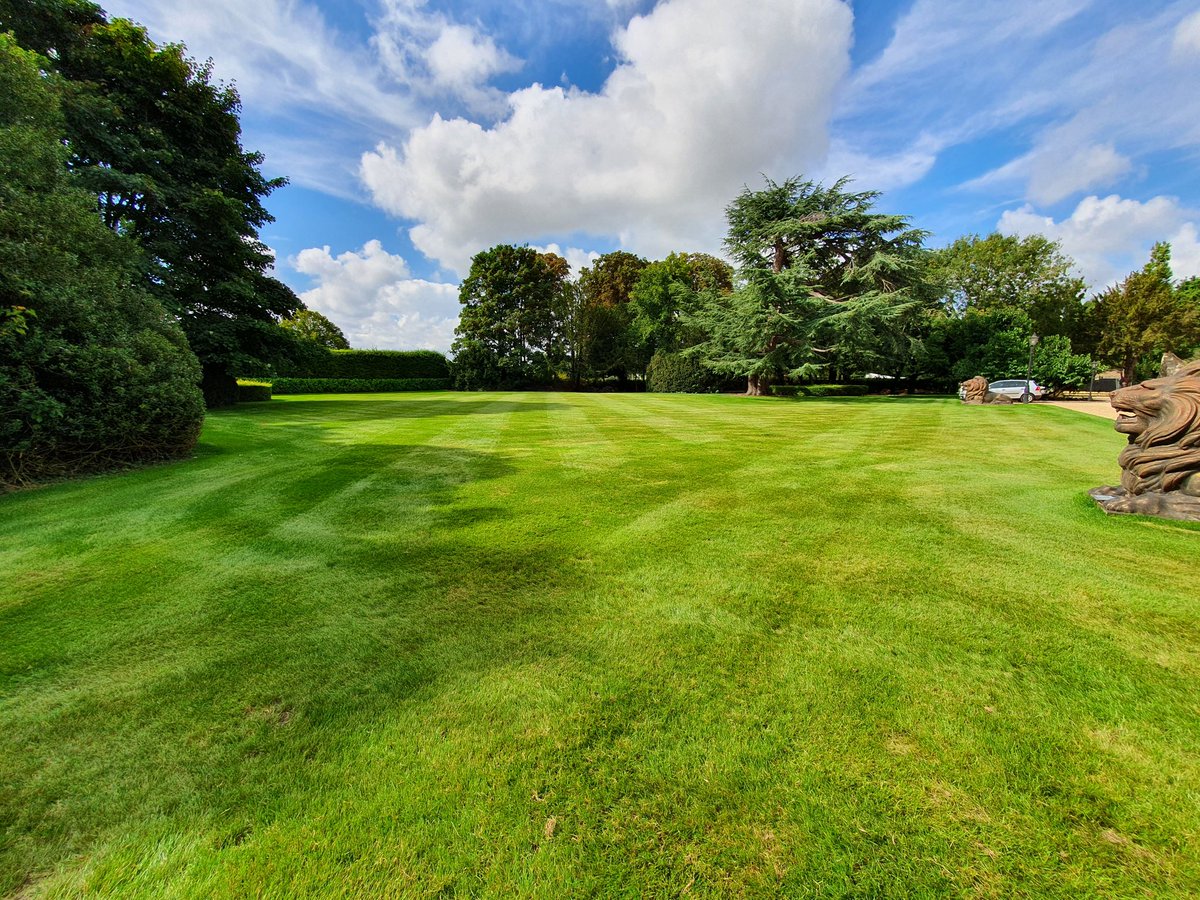What a difference a year makes! 

First image shows the lawns state a year ago with the rest of the images show the work undertaken a couple of days ago. 

Many thanks to <a href="/greenergrounds/">Greener Grounds</a> for the machine hire and to @AdvanceGrass &amp; <a href="/consolidateTurf/">Consolidate Turf</a> for the quality products 👍