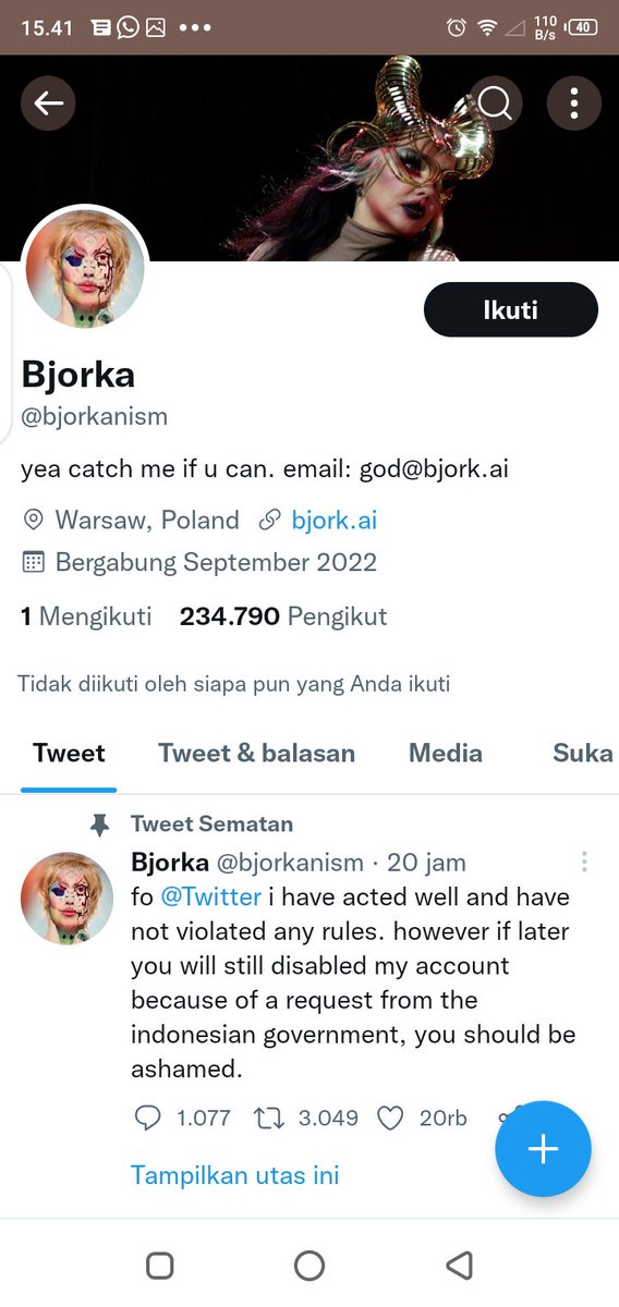 supreme01012022's tweet photo. #Bjorka undeleted https://t.co/mtjvpkXTZo