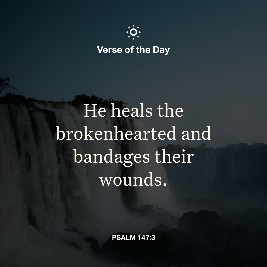 YouVersion Bible App tweet media