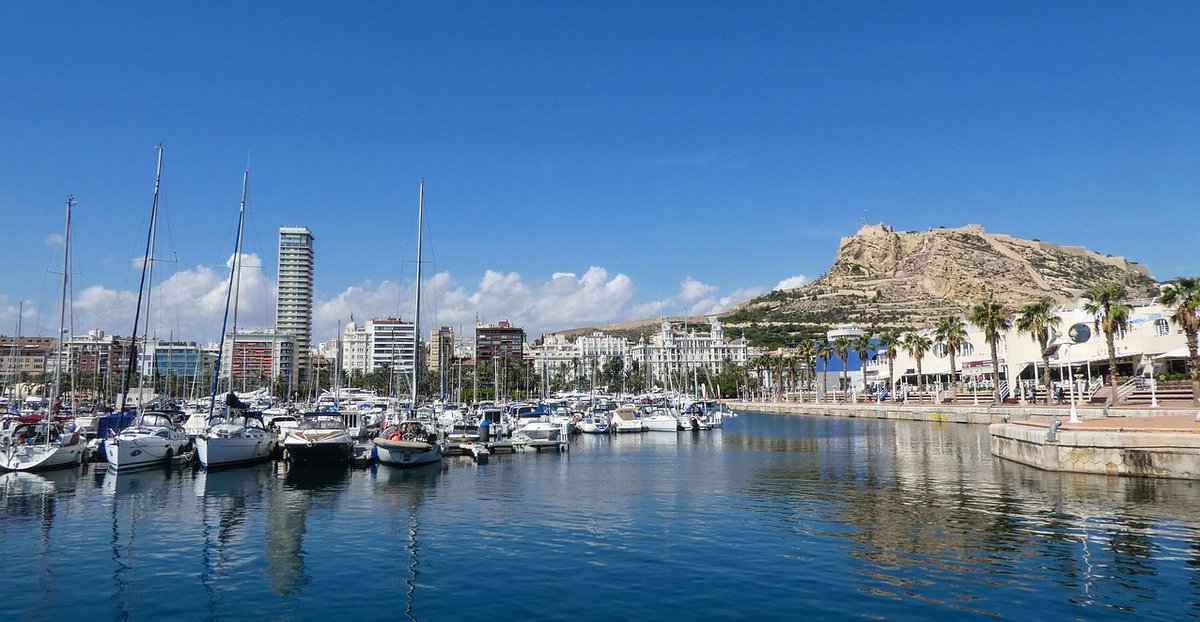 OPENDIR Alicante tweet media