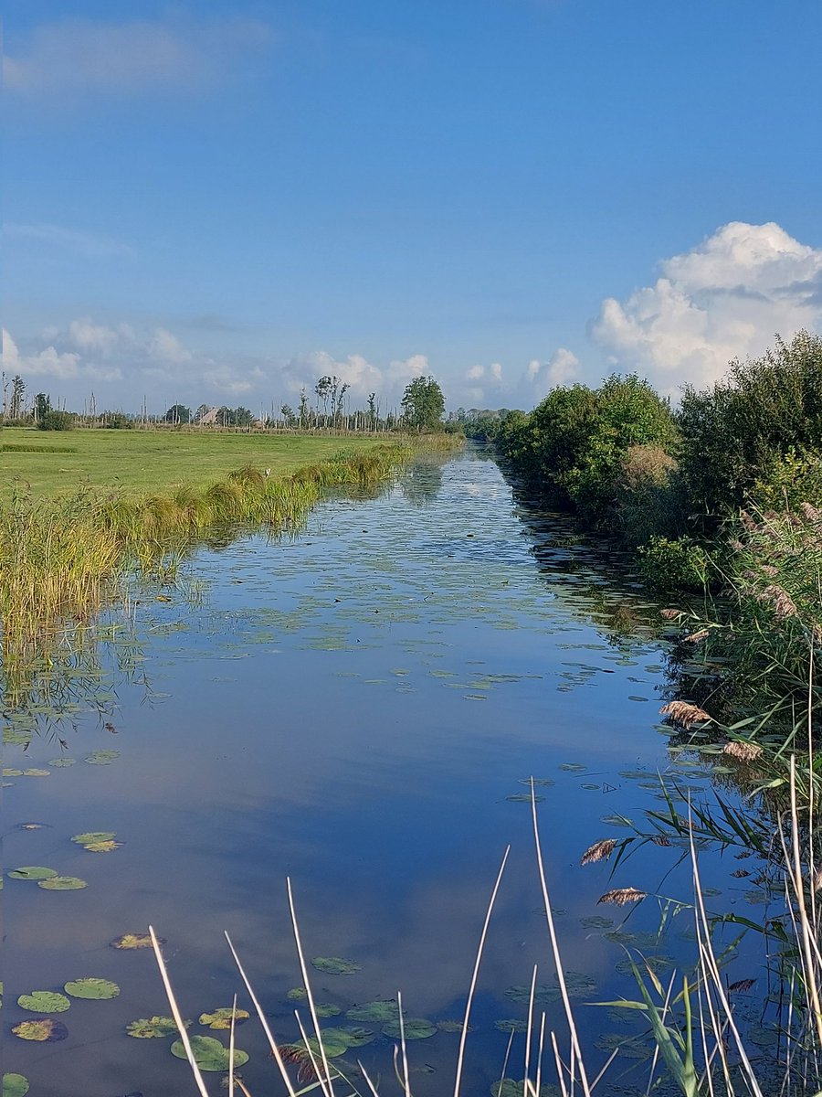 Wat wonen we toch mooi...😍#drenthe #onlanden #noordenveld