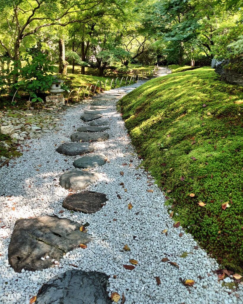 landfes_web's tweet photo. #将軍塚青龍殿 #将軍塚 #京都 #kyoto #xperia #2022 https://t.co/jrN5JxKj0q https://t.co/KvJE2PrOgH