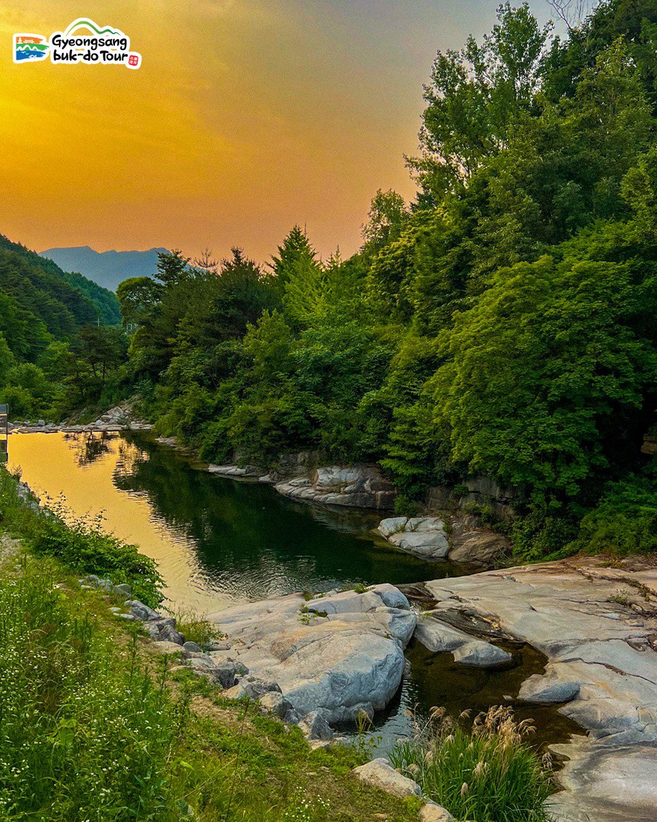 IamNaZza's tweet photo. หุบเขา Gunwi Dongsan Valley เมืองกุนวี 🏞💦
มีน้ำตกใหญ่/เล็ก ~20 แห่ง มีหินสไลเดอร์ที่ธรรมชาติสร้างให้เล่นลื่นไหลไปตามแผ่นหิน มีพื้นที่ตั้งแคมป์และทำอาหารได้ด้วย🍳🫕
📍 Dongsan-ri, Bugye-myeon, Gunwi-gun, Gyeongsangbuk-do
#VisitKorea #รีวิวเกาหลี #2022KAOS #ilovegyeongbuk https://t.co/mRp4sQ5Tui