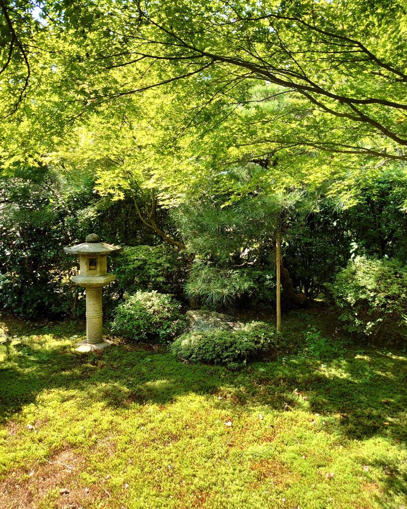 landfes_web's tweet photo. #将軍塚青龍殿 #将軍塚 #京都 #kyoto #xperia #2022 https://t.co/HLsGkl8HPk https://t.co/kTp5egylND