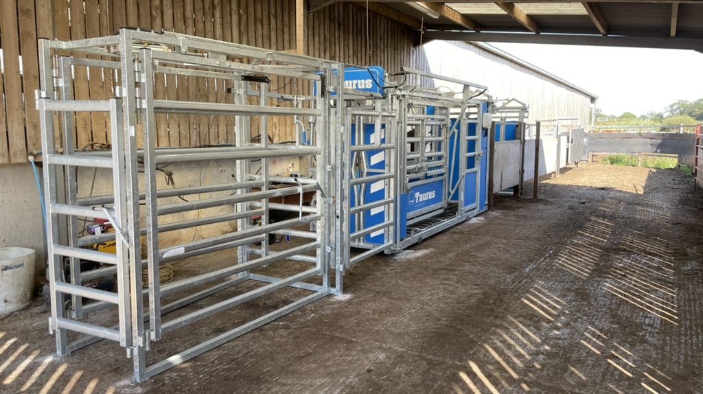 Ruari Martin 🐑🥛🍺 tweet media