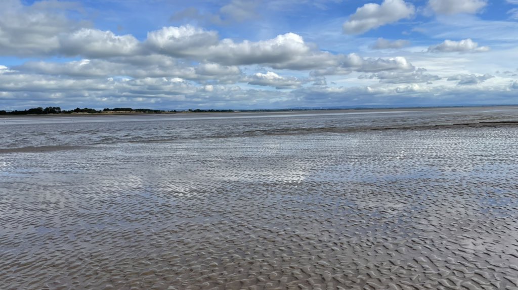 Ruari Martin 🐑🥛🍺 tweet media