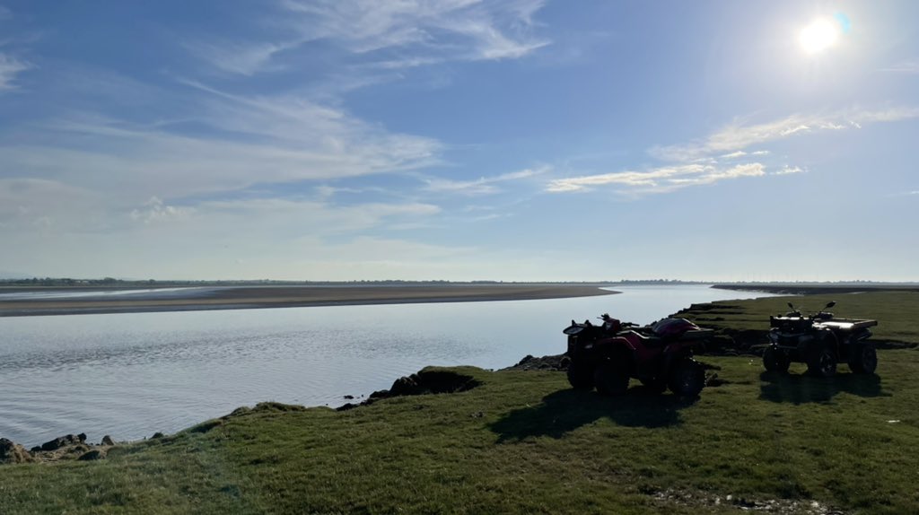 Ruari Martin 🐑🥛🍺 tweet media