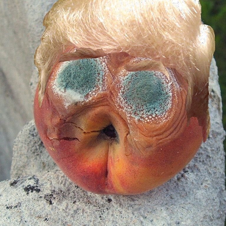 Stop_Trump20's tweet photo. Name this fruit. https://t.co/tfpTqN1OsK