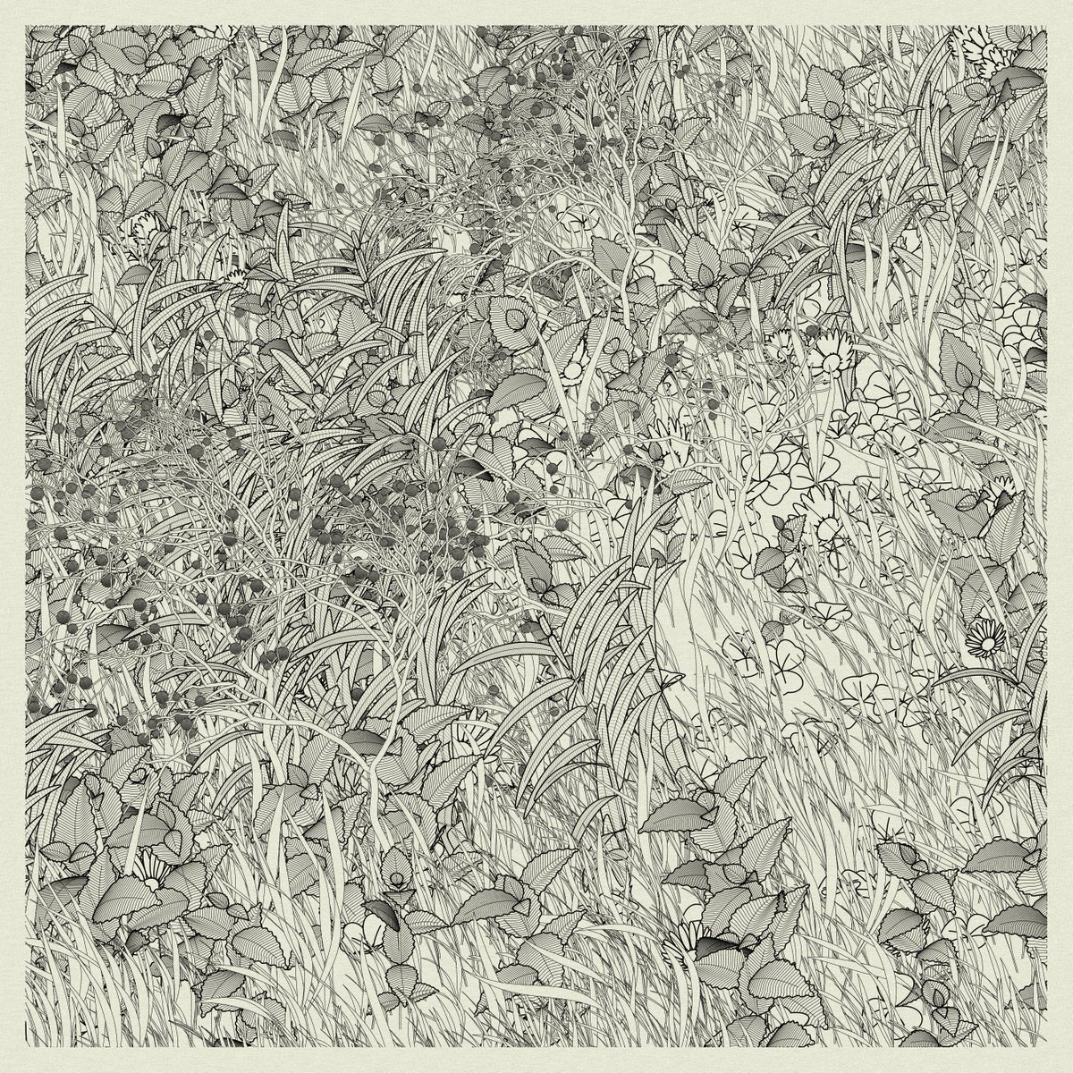 Didi 🍋 tweet media