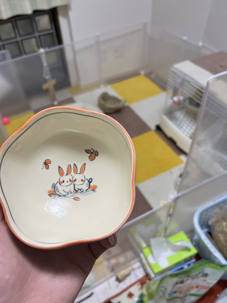utan2021's tweet photo. きょうのう〜たん！🐰

ウサギの陶器の器をゲットしました！！
う〜たんに気に入ってくれるかなぁ？🫣

#rabbit #bunny #animal #kawaii #usagi #lovely #cute #angry #うさぎ #うさぎのいる生活 #うさぎ好きさんと繋がりたい #うさぎ日記 #ウサギ #う〜たんちゃんねる #動物 #どうぶつの森 https://t.co/LXgbMlaQJB