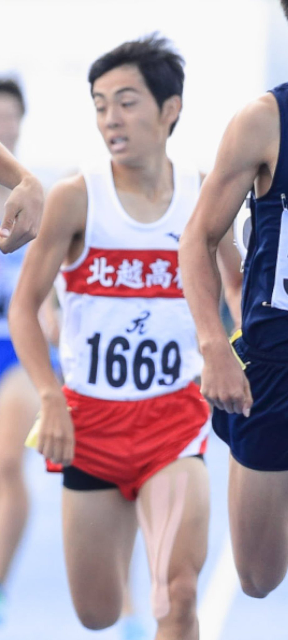 赤間‼️🕷🦎🐸 on Twitter