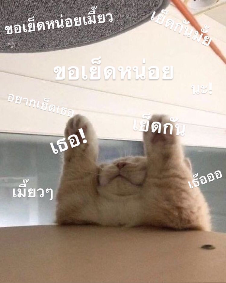 hnynsik's tweet photo. จ๊ะเอ๋ เธอง้าบบบบบบบ https://t.co/4KRFFgGeue