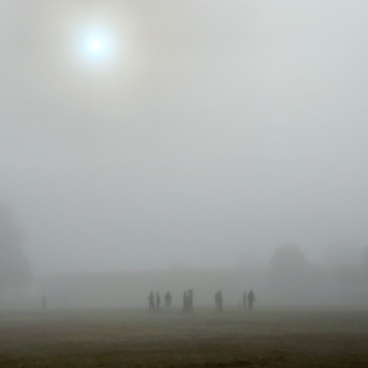 tomcopy's tweet photo. Misty wicket in @eatonparkfriend https://t.co/oe9ZDdRVyk