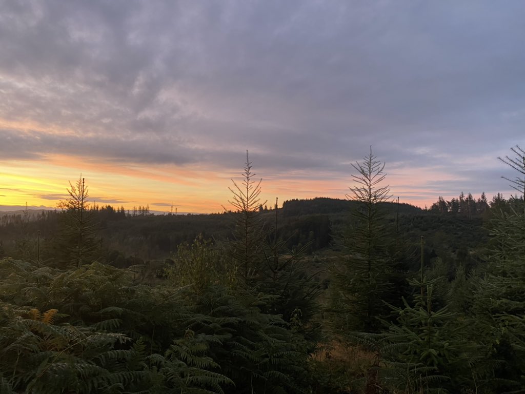 36clare's tweet photo. Stunning sky this morning #LakeDistrict #claife https://t.co/HJsAQC0lxf