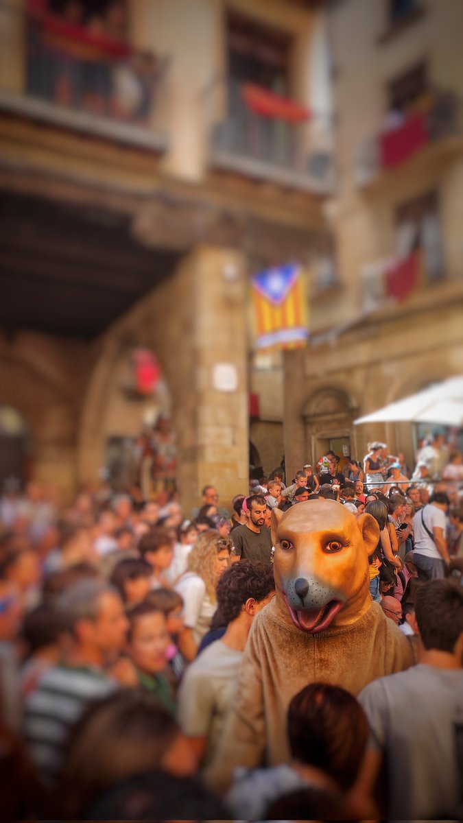 JSendarrubias's tweet photo. #fmsolsona2022
#fmsolsona22
#FestaMajorSolsona https://t.co/jViXnGjdEQ