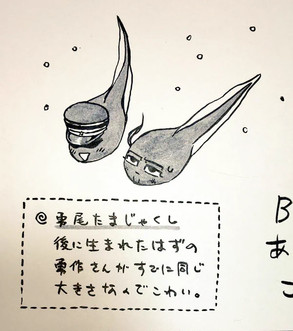 誰かの元へ届く勇尾たまじゃくしです 