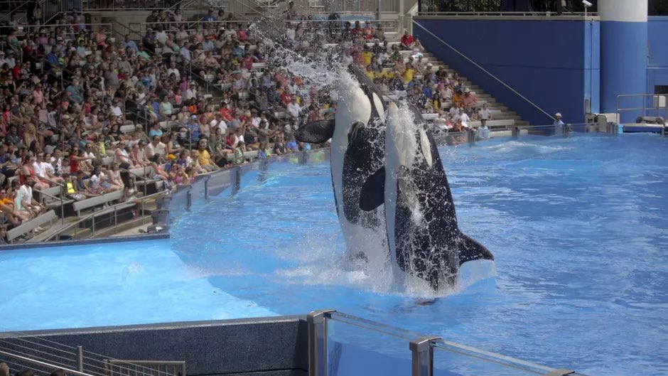 AlphaKevin tweet media