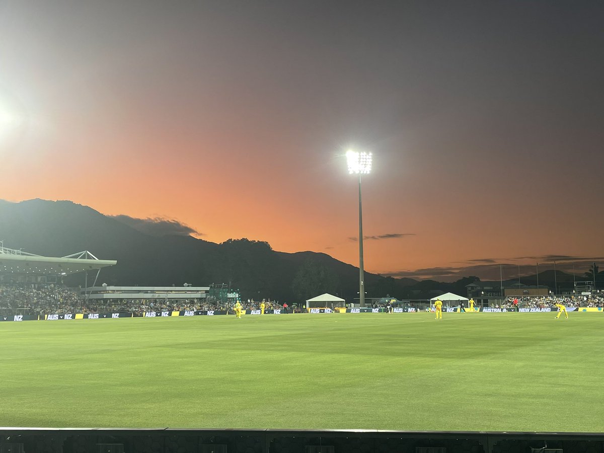 Alison Larard tweet media