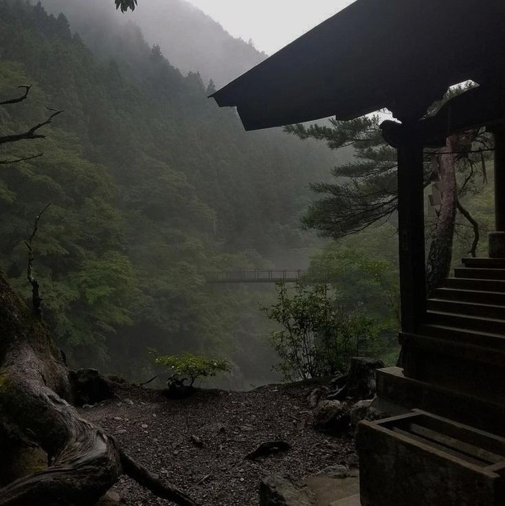 gIoomyweather's tweet photo. to be close with nature. https://t.co/CxjCiwY6CK