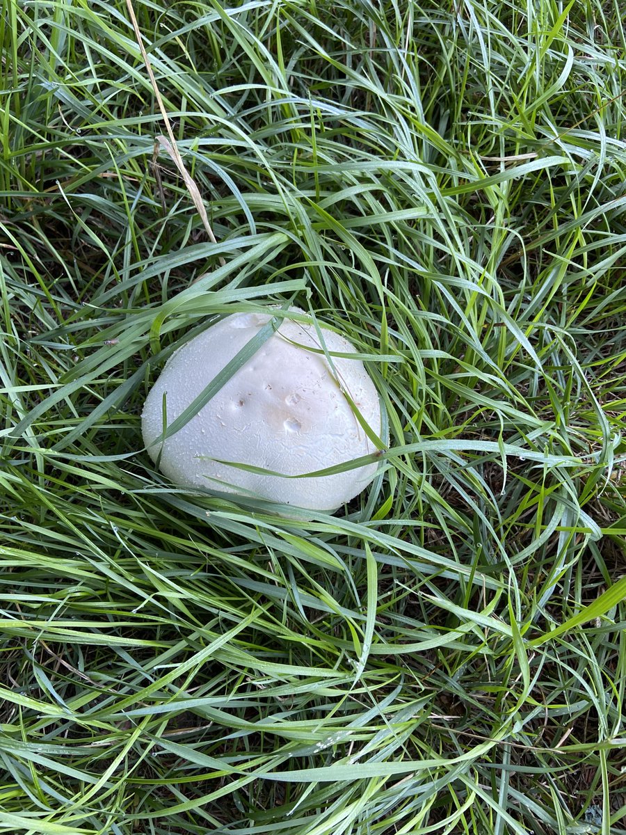 ⁦<a href="/LEstRepHtDoubs/">L'Est Républicain Pontarlier Haut-Doubs</a>⁩