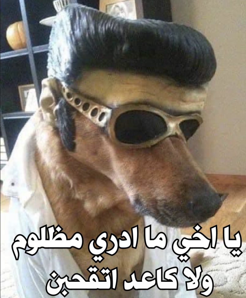 بعد ما اتهزقت للمرة المليون من مديري عشان اتأخرت كالعادة :