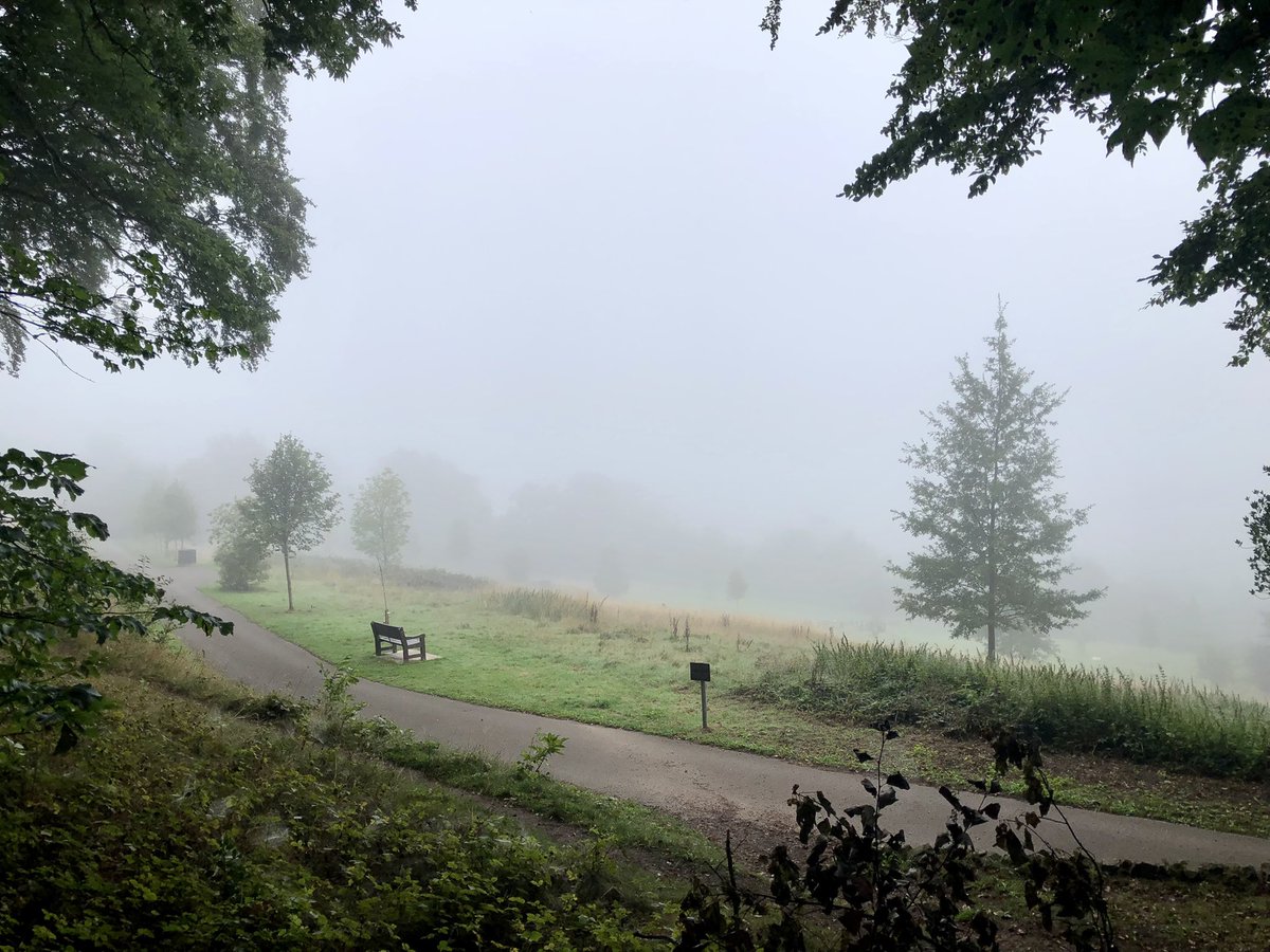 Pea souper in the valley this morning @Mightychub more about ears than eyes! Heard Raven making its presence felt, Jay, Nuthatch, Treecreeper, GSW, Buzzard, Goldfinch, Robin, Chiff, Goldcrest & 6 Mipit over….. #Belper #Cemetery @DVMillsWHS @DerbysWildlife #derbyshirebirds