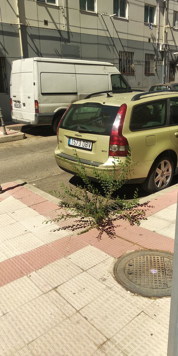 <a href="/MedioCoslada/">Medioambiente Coslada</a> <a href="/cosladapsoe/">PSOE de Coslada</a> <a href="/ppcoslada/">Populares de Coslada</a> <a href="/IUenCoslada/">IU Coslada</a> <a href="/Ayto_Coslada/">Ayuntamiento de Coslada</a> <a href="/Angviveros/">Ángel Viveros Gutiérrez #CosladaCon♥️🇪🇸🌹</a> cuando acabéis pasaros por aquí