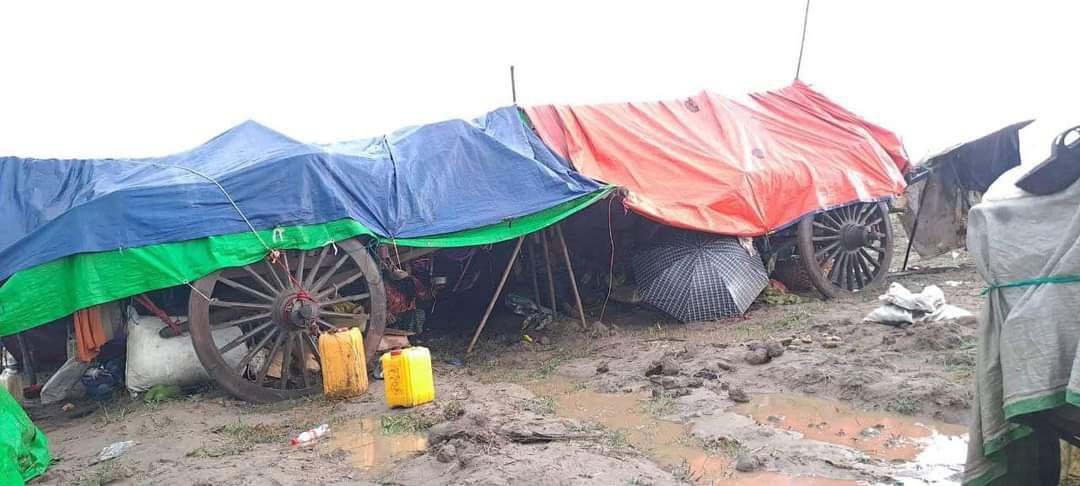 Tiam1702's tweet photo. Monstrous SAC terrorists abducted over 50 refugees including children and women from villages of YayLalKyun, Yesagyo tsp, Magway division. They caned the women in prone position on the ground.
#2022Sept11Coup #AcceptNUGRejectMilitary #WhatsHappeningInMyanmar https://t.co/Q20cg14iof