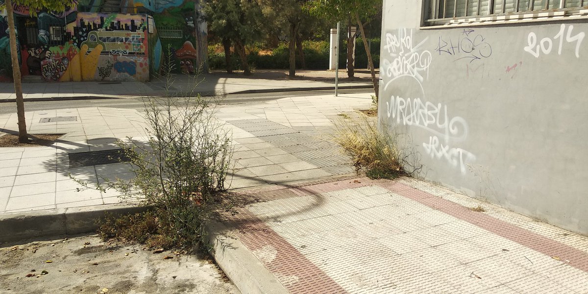 <a href="/MedioCoslada/">Medioambiente Coslada</a> <a href="/WWFMadrid/">Grupo Local WWF Madrid</a> <a href="/juliohueteperez/">Julio Huete Pérez</a> <a href="/Ayto_Coslada/">Ayuntamiento de Coslada</a> Luego estos porfa
<a href="/cosladapsoe/">PSOE de Coslada</a> <a href="/Angviveros/">Ángel Viveros Gutiérrez #CosladaCon♥️🇪🇸🌹</a> <a href="/ppcoslada/">Populares de Coslada</a> <a href="/Ayto_Coslada/">Ayuntamiento de Coslada</a> <a href="/IUenCoslada/">IU Coslada</a> <a href="/MedioCoslada/">Medioambiente Coslada</a>